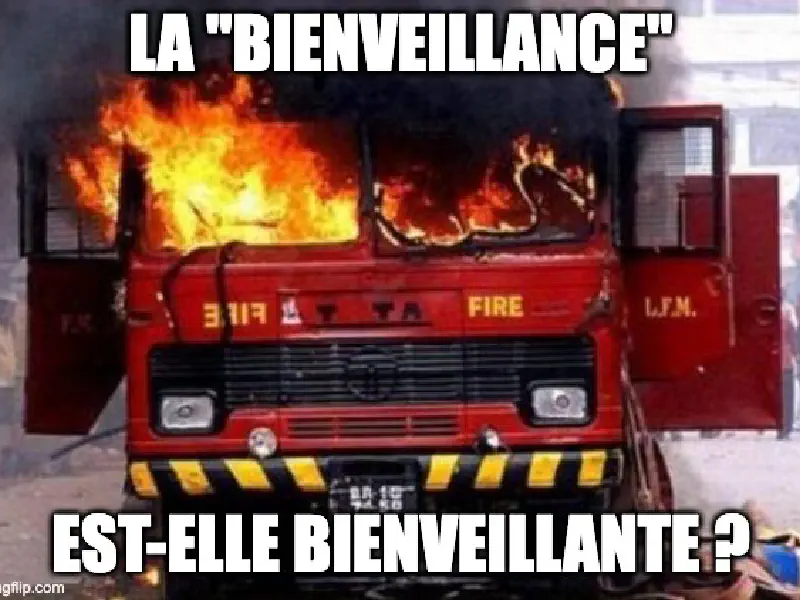 image de l'article : Quelle bienveillance pour quel impact ?