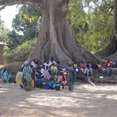 image de l'article : De l’arbre à palabre au télétravail