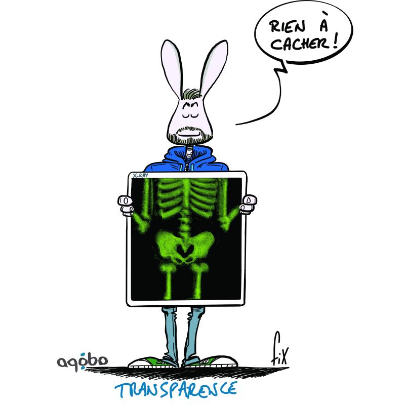 image de la catégorie Transparence